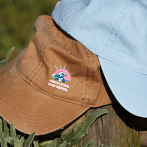 Casquettes